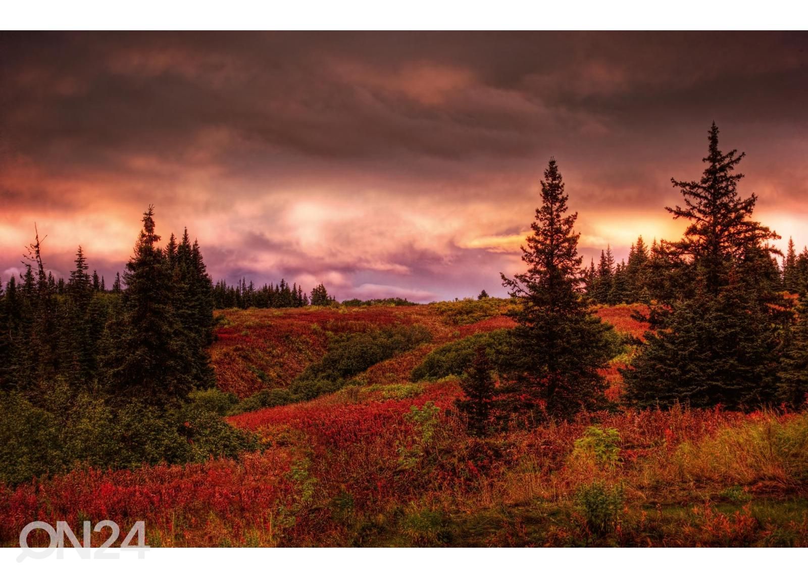 Самоклеящиеся фотообои Alaska Sunset увеличить