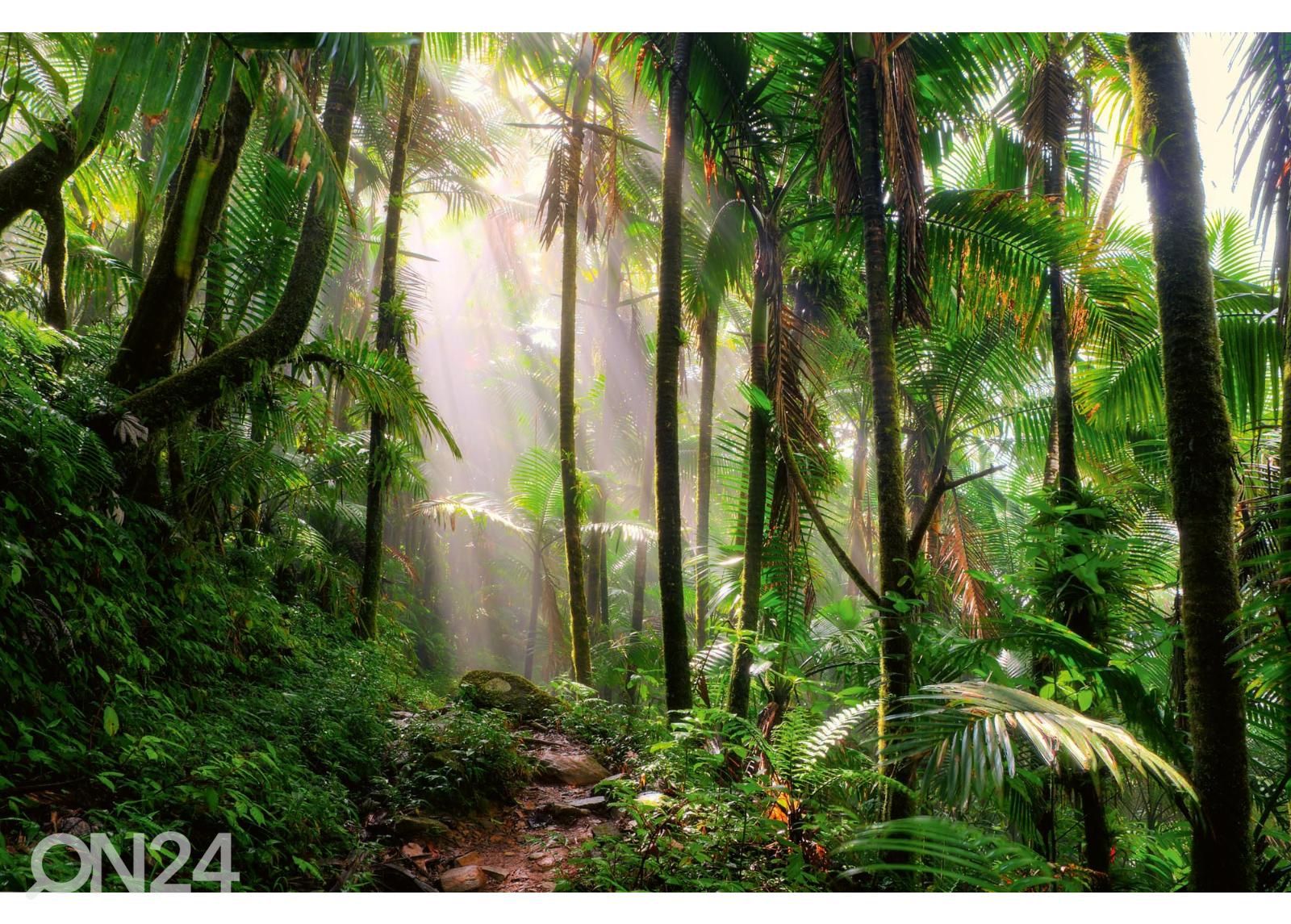 Самоклеящиеся фотообои Beautiful Jungle Path увеличить