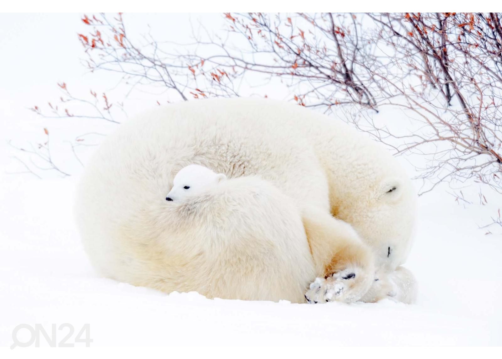 Самоклеящиеся фотообои Blue Polar Bears увеличить