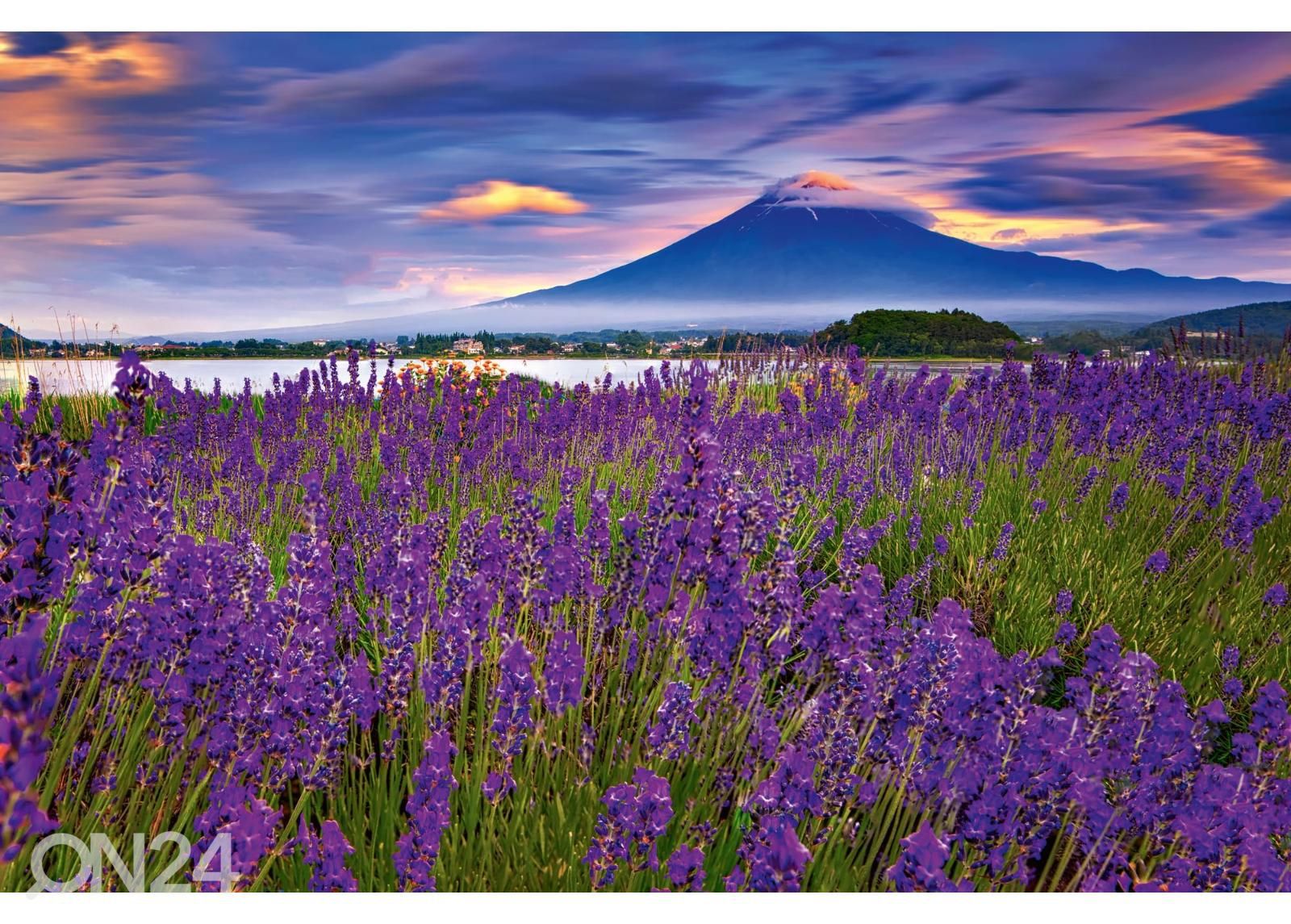 Самоклеящиеся фотообои Fuji Mountain And Lavender увеличить