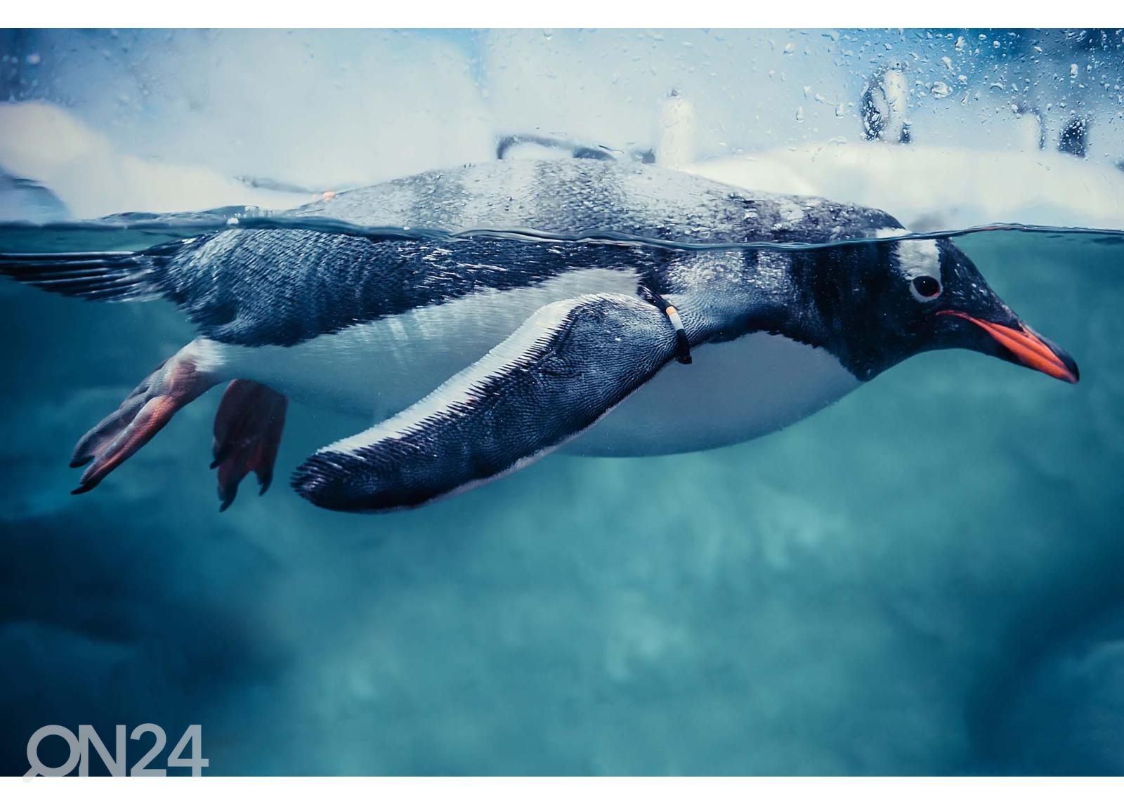 Самоклеящиеся фотообои Gentoo Penguin Swimming Marine Life увеличить