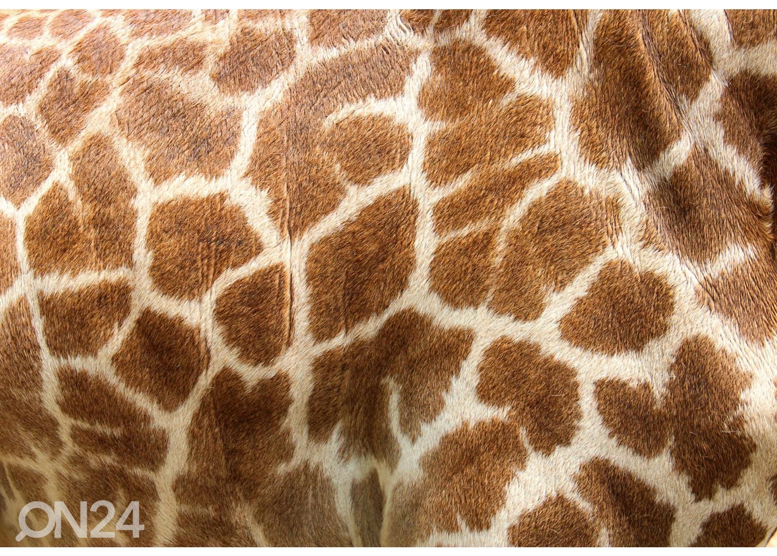 Самоклеящиеся фотообои Genuine Leather Of Giraffe увеличить