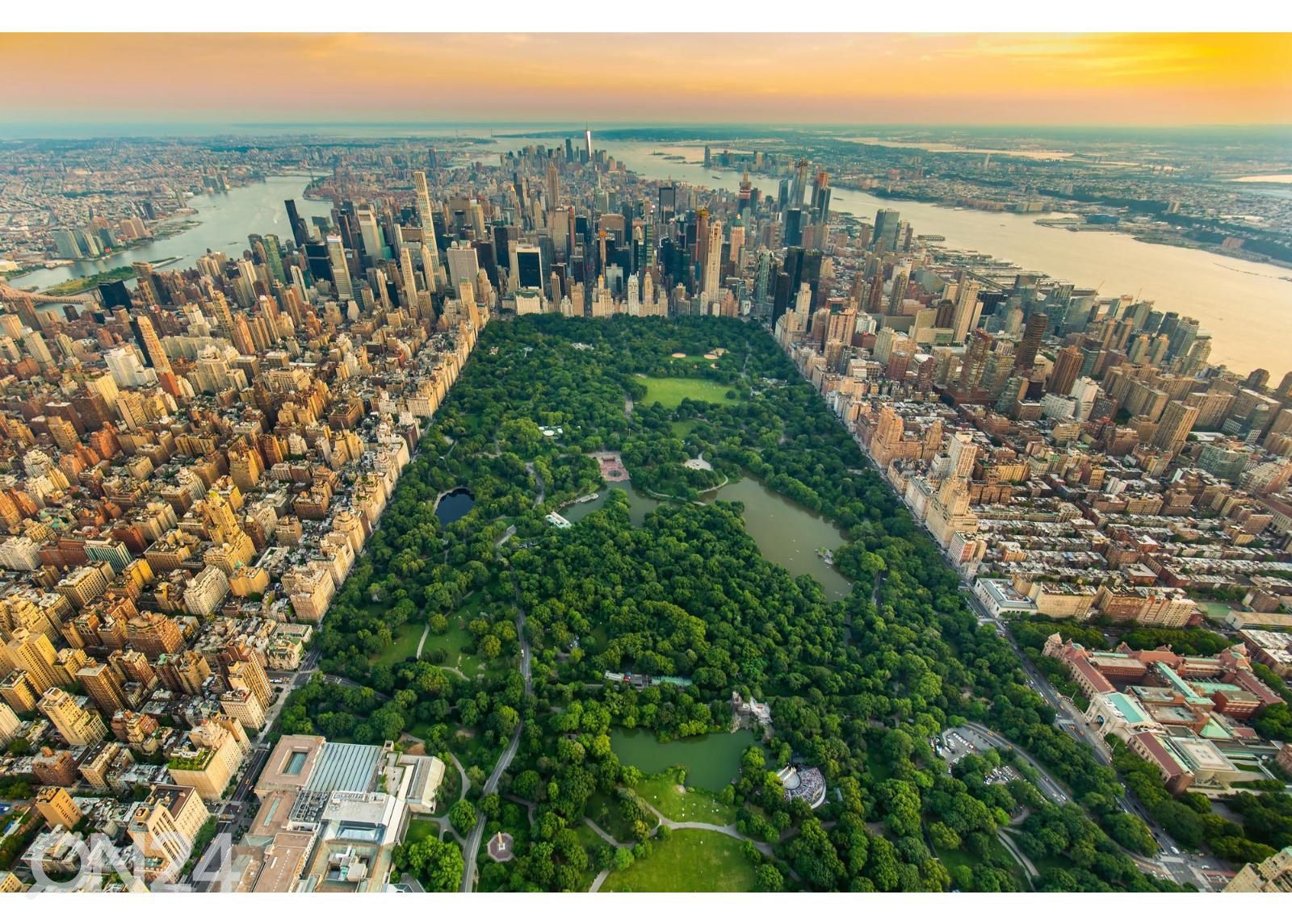 Самоклеящиеся фотообои New York Central Park увеличить