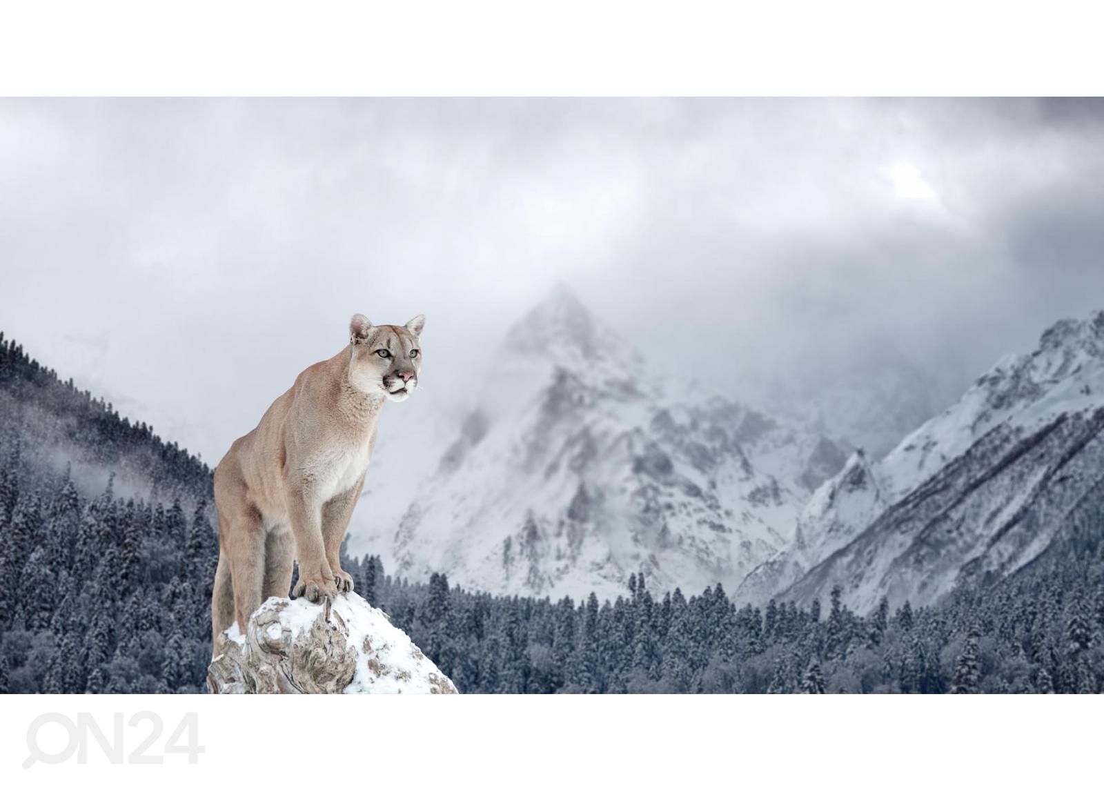 Самоклеящиеся фотообои Portrait Of A Cougar увеличить