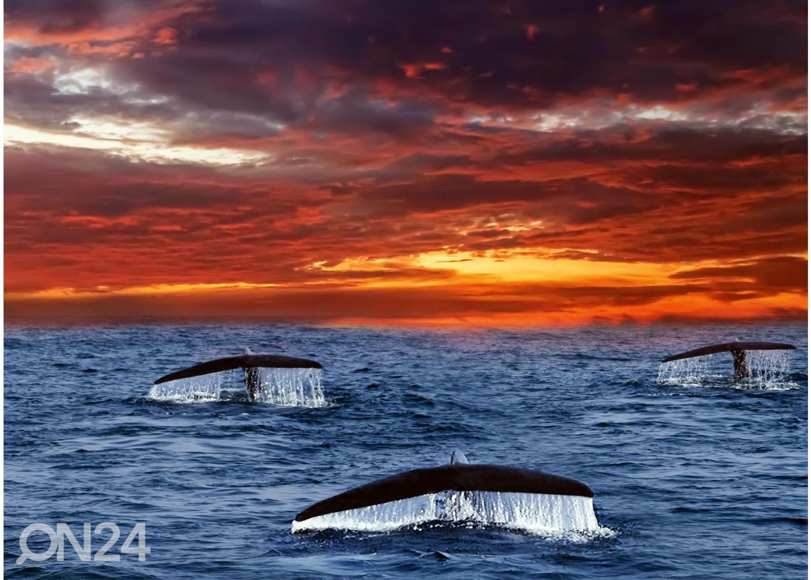 Самоклеящиеся фотообои Tails Whales увеличить