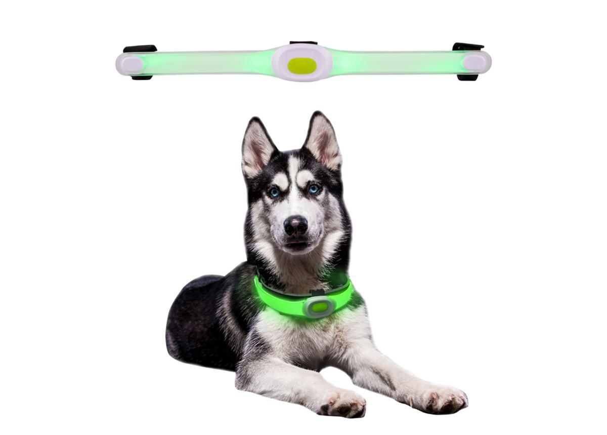Светодиодный ошейник для собак LED Light Maxi увеличить