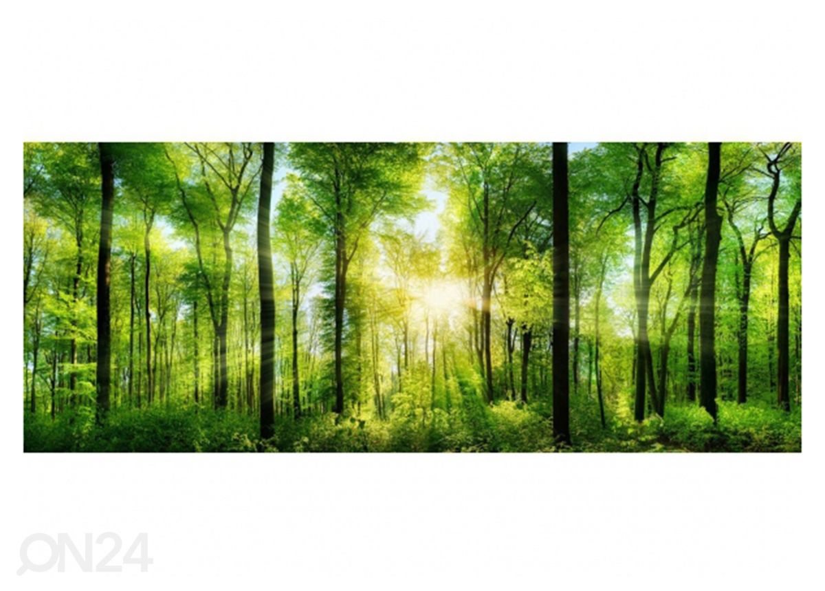 Стеклянная картина Forest 125x50 см увеличить