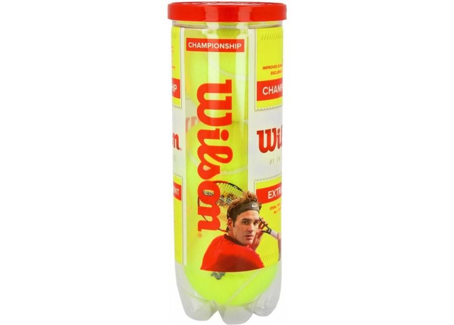 Теннисные мячи Wilson Championship Extra Duty 3 штуки увеличить