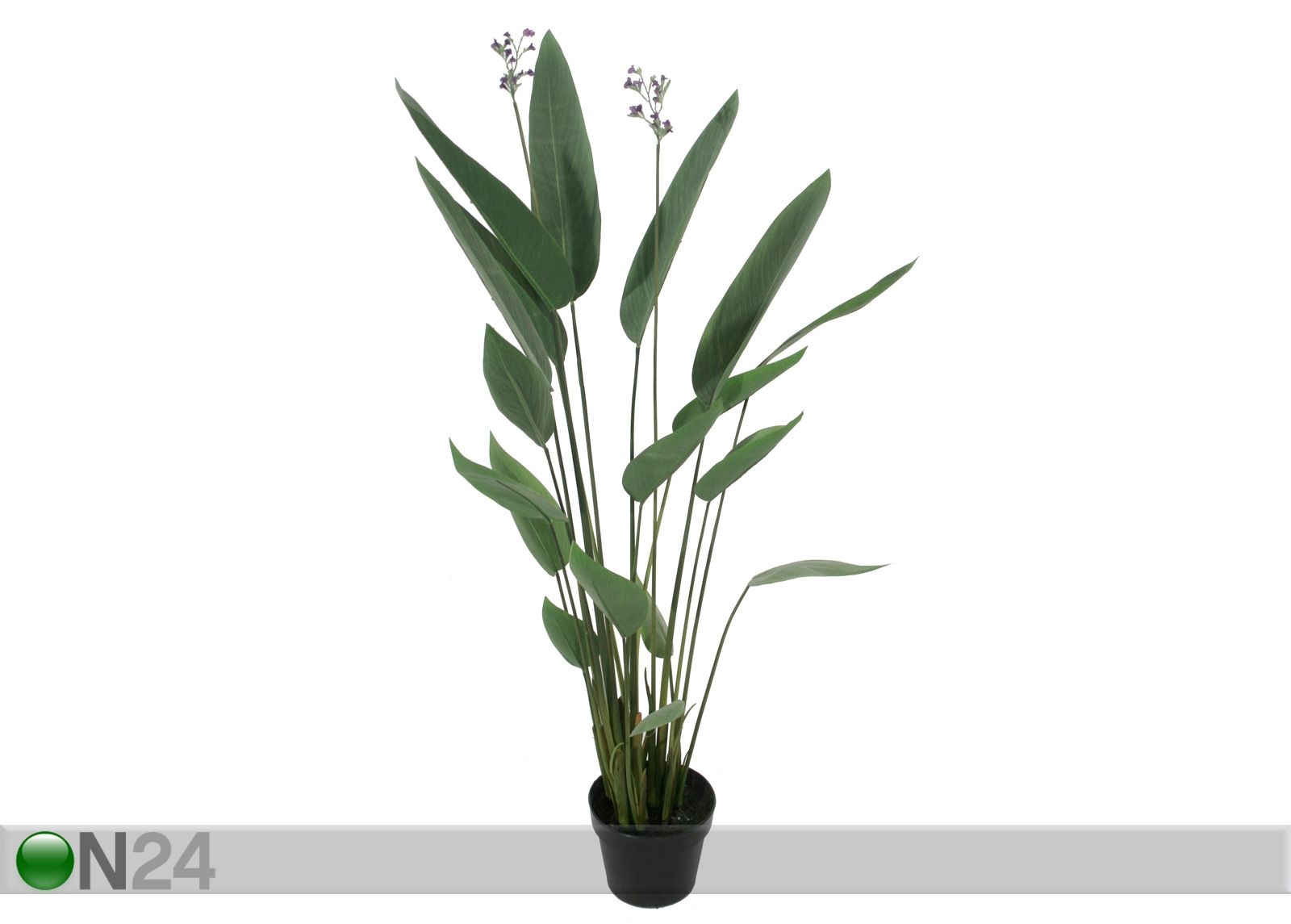 Тропическое растение 117 см увеличить
