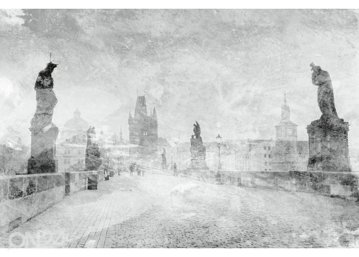 Флизелиновые фотообои Charles Bridge Abstract II 375x250 см увеличить