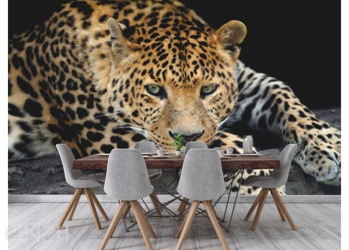 Флизелиновые фотообои Close Up Leopard Portrait 368 x 254 см увеличить