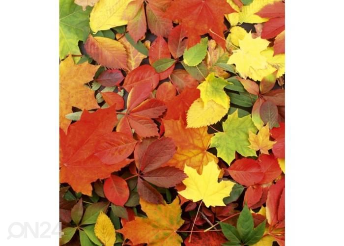 Флизелиновые фотообои Colourful leaves 225x250 см увеличить