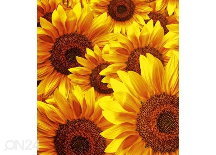 Флизелиновые фотообои Helianthus 225x250 см увеличить