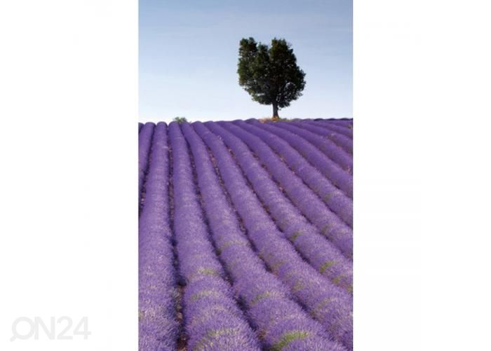 Флизелиновые фотообои Lavender field 150x250 см увеличить