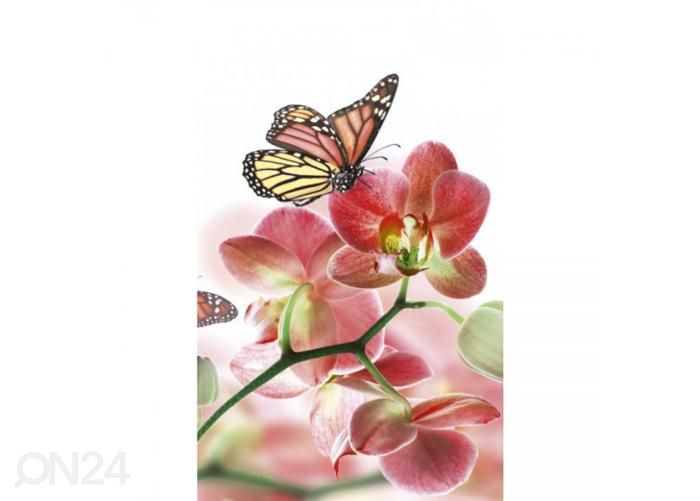 Флизелиновые фотообои Orchids and butterfly 150x250 см увеличить