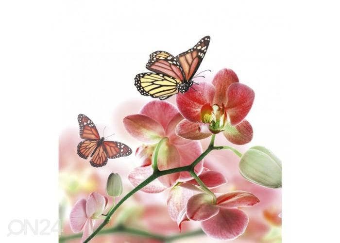 Флизелиновые фотообои Orchids and butterfly 225x250 см увеличить