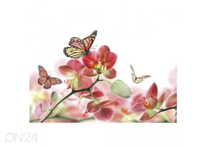 Флизелиновые фотообои Orchids and butterfly 375x250 см увеличить