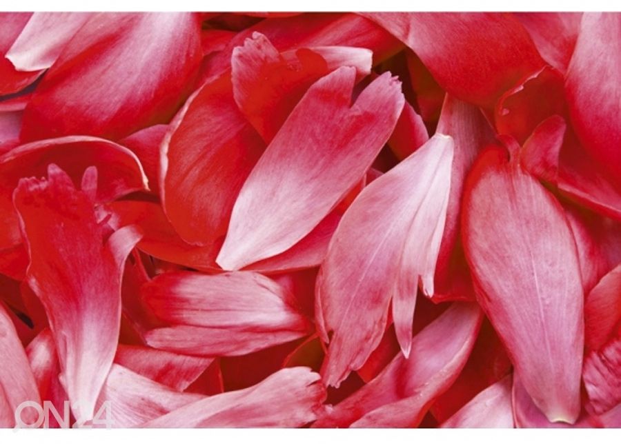 Флизелиновые фотообои Red petals 225x250 см увеличить