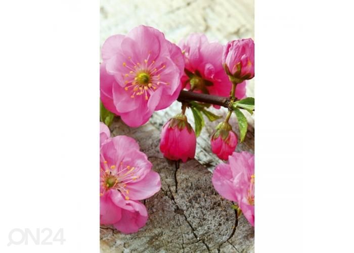 Флизелиновые фотообои Sakura 150x250 см увеличить