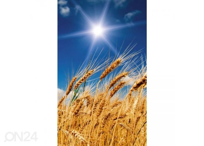 Флизелиновые фотообои Wheat field 150x250 см увеличить