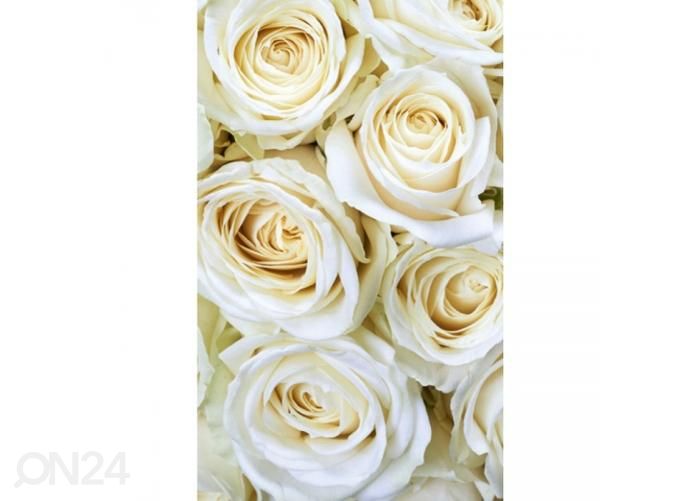 Флизелиновые фотообои White roses 150x250 см увеличить