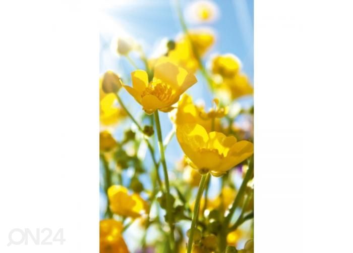 Флизелиновые фотообои Yellow flowers 150x250 см увеличить