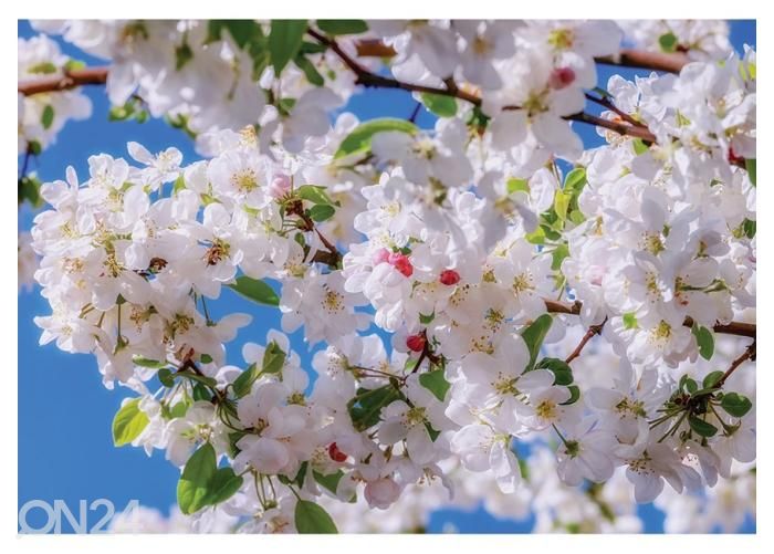Флисовые фотообои Apple Tree Blossom 400x260 см увеличить