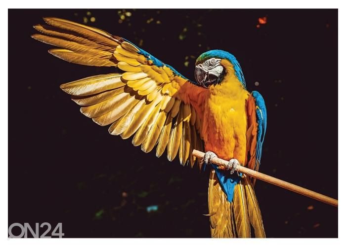 Флисовые фотообои Ara 416x290 см увеличить