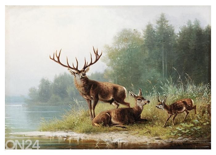 Флисовые фотообои Stag at a Lake by Moritz Müller 400x260 см увеличить