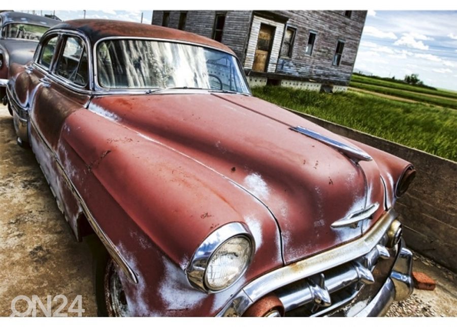 Флисовые фото-обои Veteran car 375x250 см увеличить