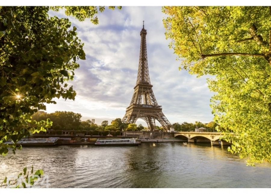 Флисовые фофо-обои Wall in paris 375x250 см увеличить