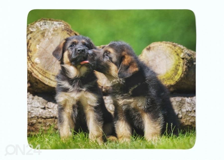 Флисовый плед Cute German Shepherd Puppies 150x200 см увеличить