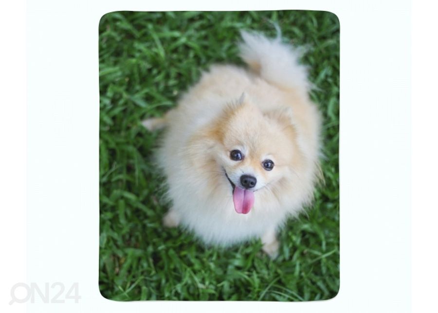 Флисовый плед Happy Pomeranian Dog 150x200 см увеличить