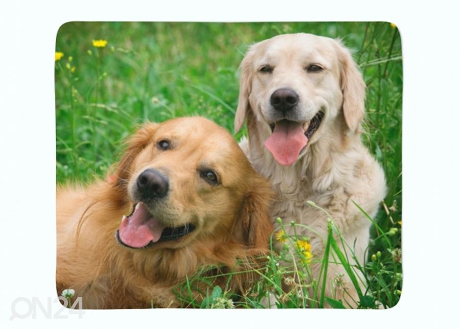 Флисовый плед Labradors Retrievers in the Meadow 150x200 см увеличить