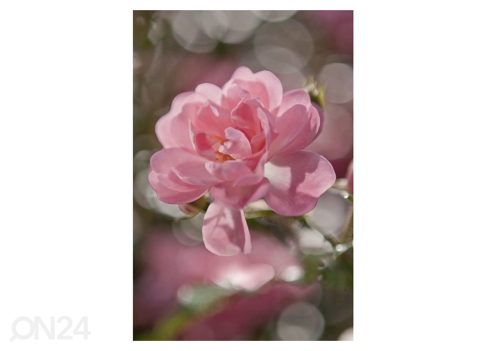 Фотообои 184x127 cm увеличить