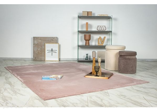 Ковер LOFT Powdre Pink 80x150 см