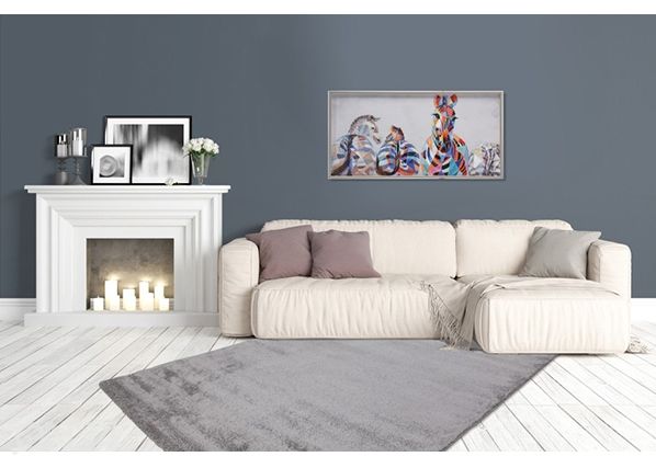 Ковер Soft Touch Silver 80x150 см