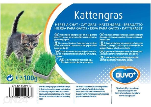 Кошачья трава 100 г