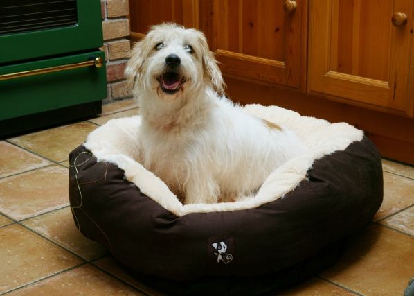 Лежанка Yap Dolgi Donut