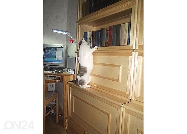 Модульная полка