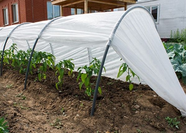 Парник Agrohex 1.1x6 м