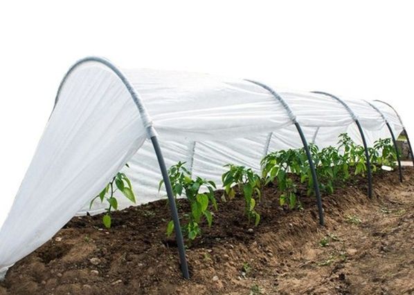 Парник Agrohex 1.1x6 м