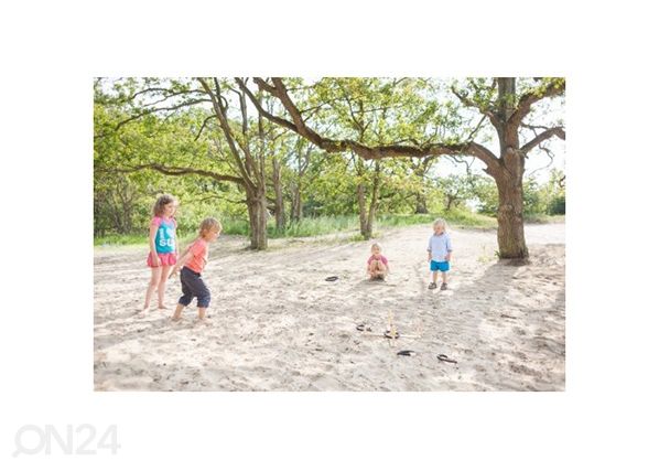 Попади кольцом