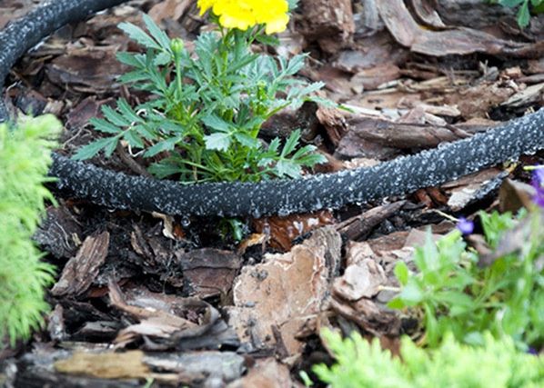 Порный шланг для полива Bradas Aqua-Drop 1/2"