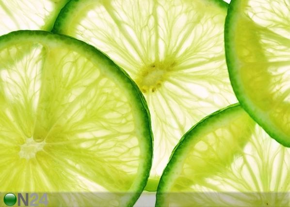 Флизелиновые фотообои Lime 360x270 см