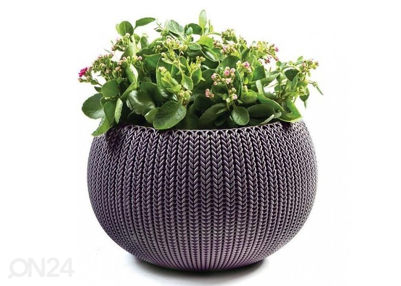 Ампельный горшок Keter Cozy M увеличить