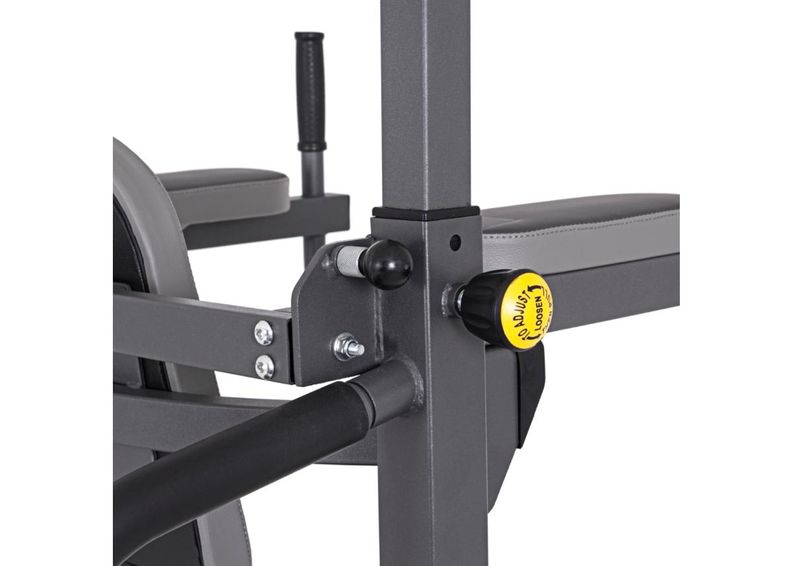 Беговая дорожка с турником для подтягивания Tongu inSPORTline увеличить