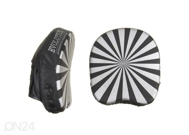 Боксерская лапа Evolution увеличить