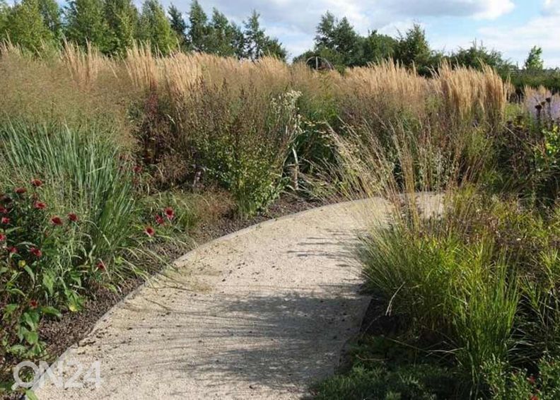 Бордюр Ecolat 14 см, 10 м увеличить