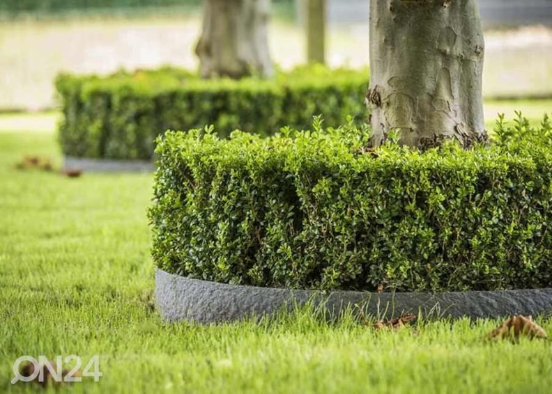 Бордюр Ecolat 19 см, 25 м увеличить